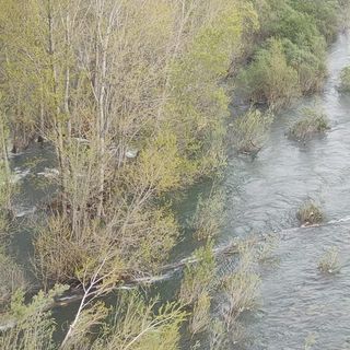 FOTO. Si ribaltano con la canoa nelle acque del Ticino: salvati dai vigili del fuoco
