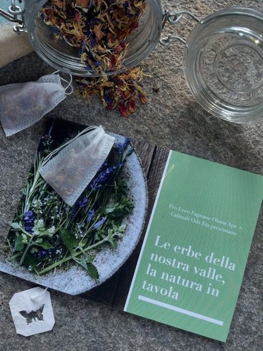 Quelle erbe che raccontano tanto della nostra terra e quindi di noi. In Valle nasce una guida