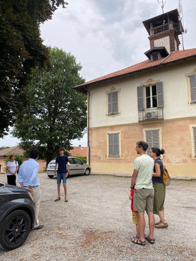 Sulle ali dei rondoni: 350 nidi siti di nidificazione individuati da ottanta partecipanti al censimento