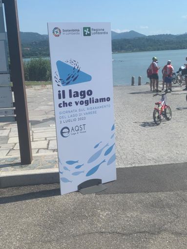 VIDEO e FOTO - L'entusiasmo dei nuotatori riempie il Lido di Bodio alla "prima" del suo lago VIDEO e FOTO - L'entusiasmo dei nuotatori riempie il Lido di Bodio alla "prima" del suo lago