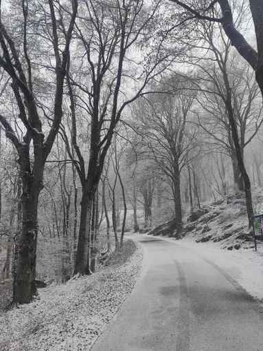 La nevicata in corso questa mattina, venerdì 5 gennaio, al Campo dei Fiori La nevicata in corso questa mattina, venerdì 5 gennaio, al Campo dei Fiori