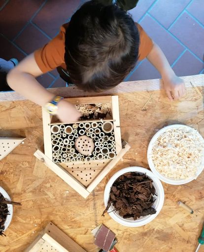 L'Agenzia Formativa della Provincia di Varese avvia il corso triennale dedicato alla lavorazione del legno