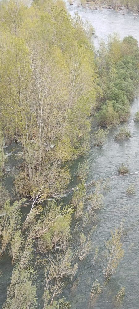 FOTO. Si ribaltano con la canoa nelle acque del Ticino: salvati dai vigili del fuoco