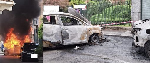 foto per cortesia di Paolo Umberto Ferrario foto per cortesia di Paolo Umberto Ferrario