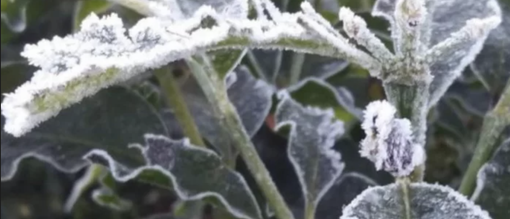 Freddo da vero inverno. Ma l'Epifania sarà asciutta sul Varesotto