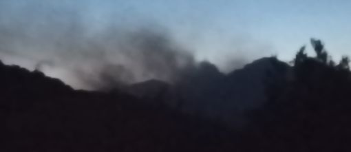 LA LETTERA. Quel fumo oltre gli alberi e l'angoscia. Ma anche gratitudine per chi si sta battendo contro gli incendi nel Vco