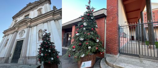 Aspettando le luci, Busto si colora di alberi