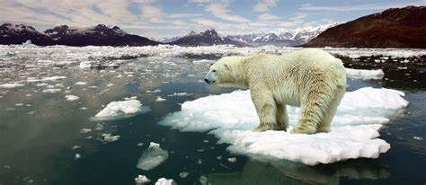 Cai: “I cambiamenti climatici e l’economia montana del futuro”