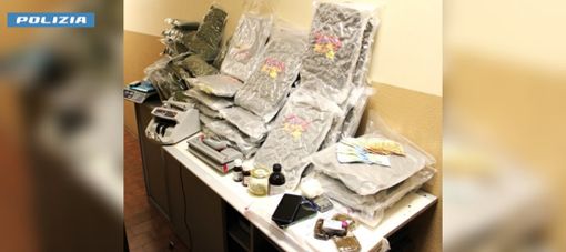 VIDEO. Scoperto dalla polizia un capannone "serra" di marijuana. Un arresto e due denunce per spaccio