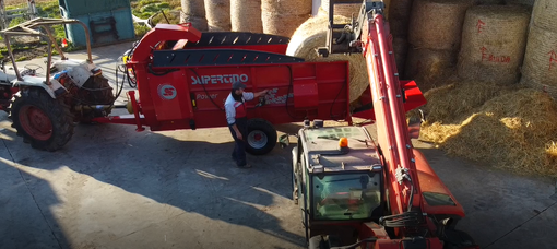 Le impagliatrici di Supertino srl Le impagliatrici di Supertino srl