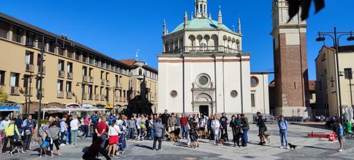 Alcune immagini della camminata a 6 zampe