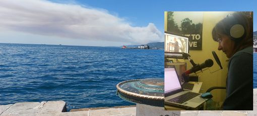 La foto del fumo all'orizzonte scattata ieri da Rosy Battaglia - nel riquadro la giornalista