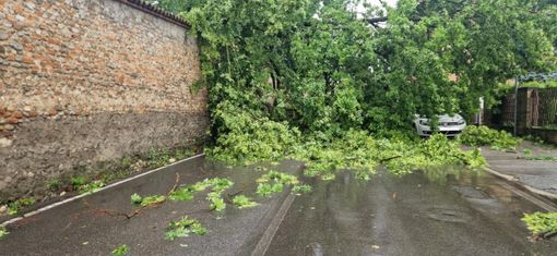 foto dalla pagina del Comune di Cesano Maderno