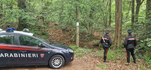 Ancora un blitz anti spaccio nei boschi del Parco Pineta: un arresto a Tradate