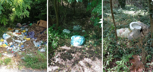 FOTO. «Ma questa è una strada di Busto Arsizio o una discarica?». La protesta di un borsanese FOTO. «Ma questa è una strada di Busto Arsizio o una discarica?». La protesta di un borsanese