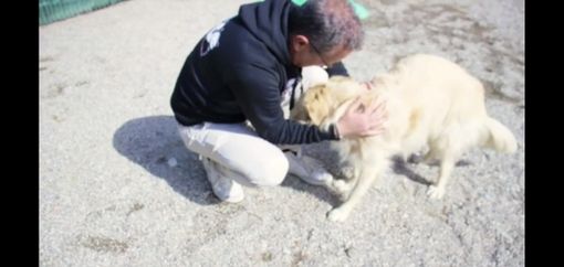 Un frame del videoclip di &quot;Legami al cuore&quot;