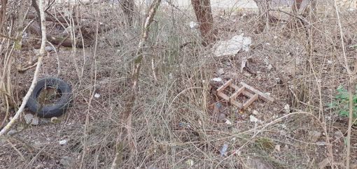 FOTO. Rifiuti abbandonati nell'area boschiva della zona industriale di Brunello