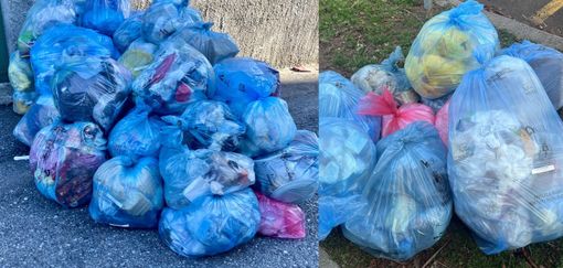 Nella zona di viale Alfieri e via Orazio è saltato il ritiro dei sacchi azzurri Nella zona di viale Alfieri e via Orazio è saltato il ritiro dei sacchi azzurri