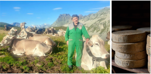 Torna il Bettelmatt: il formaggio d’alpe che racconta l’Alta Ossola