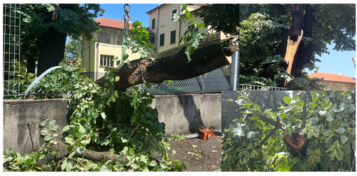 Maltempo: dalla provincia di Varese segnalati danni per oltre 52 milioni di euro