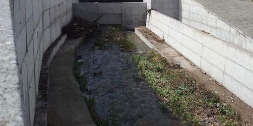 Transizione ecologica: gli alunni della scuola Vidoletti protagonisti di un Centro di Sostenibilità Permanente