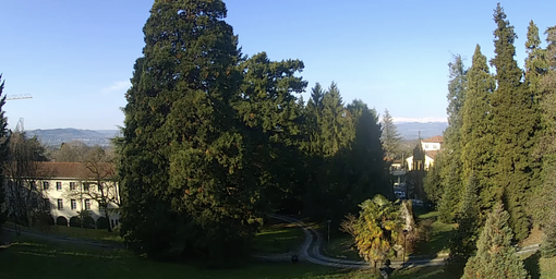 Il cielo oggi a Varese (foto webcam Centro Geofisico Prealpino)