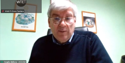 Il presidente di Accam, Angelo Bellora, ascoltato in commissione Il presidente di Accam, Angelo Bellora, ascoltato in commissione