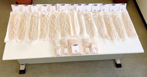 In dogana 14 chili di perle di contrabbando: scatta il sequestro delle Fiamme Gialle