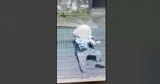 Il responsabile di furti e danneggiamenti immortalato dalla videosorveglianza (immagini diffuse dal Comune di Cavaria)