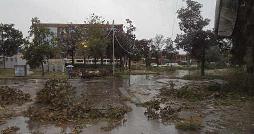 I danni registrati a Tradate e sulla Varesina