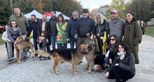 VIDEO. Con un... ululato in marcia quasi 150 cani con le loro famiglie VIDEO. Con un... ululato in marcia quasi 150 cani con le loro famiglie