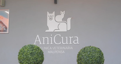 Target. Nella seconda puntata spazio alla clinica veterinaria AniCura di Malpensa