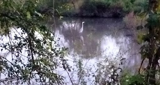 Meravigliosi incontri. Dalla pagina Facebook del Gruppo di cammino fagnanese