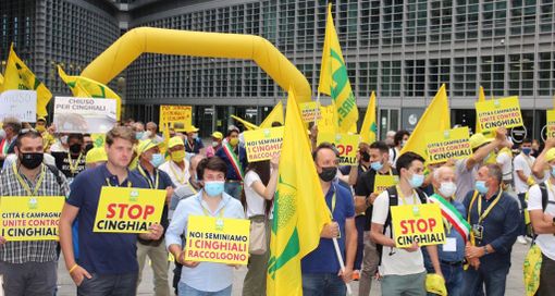 "Noi seminiamo, i cinghiali raccolgono": rabbia e proteste degli agricoltori davanti alla Regione "Noi seminiamo, i cinghiali raccolgono": rabbia e proteste degli agricoltori davanti alla Regione