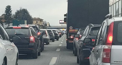 Un cane fa lo slalom tra le auto, traffico sulla superstrada della Malpensa Un cane fa lo slalom tra le auto, traffico sulla superstrada della Malpensa