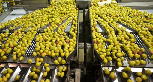 Aumentano dell’8,6% i prezzi di produzione dell’industria alimentare