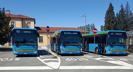 Cadenzato, semplice, integrato: nuovo orario sulle linee extraurbane