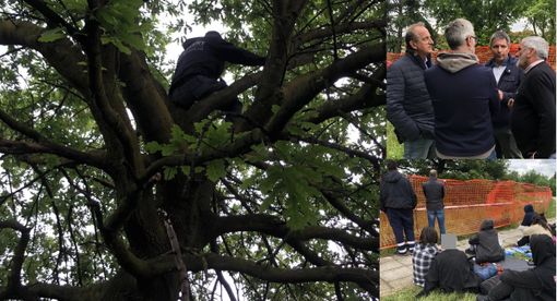 VIDEO. Due giorni di sospensione del cantiere e incontro in Comune. Gli attivisti scendono dagli alberi VIDEO. Due giorni di sospensione del cantiere e incontro in Comune. Gli attivisti scendono dagli alberi