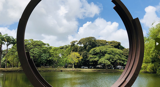 Martinica: Caraibi, croissant e rum agricole Martinica: Caraibi, croissant e rum agricole