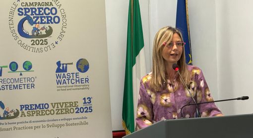 Gadda: «Donare le eccedenze alimentari è possibile. Ora la sfida è logistica: serve un modello organizzativo sostenibile» Gadda: «Donare le eccedenze alimentari è possibile. Ora la sfida è logistica: serve un modello organizzativo sostenibile»