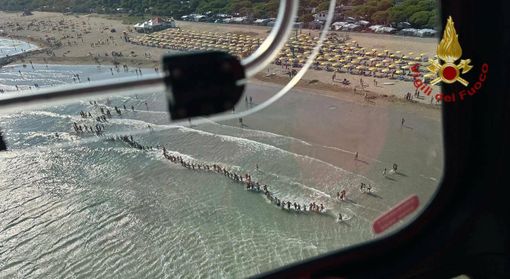 La catena umana dei bagnanti impegnati nelle ricerche del bambino a Jesolo La catena umana dei bagnanti impegnati nelle ricerche del bambino a Jesolo