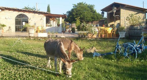 Con il ritorno in giallo riaprono due agriturismi su tre