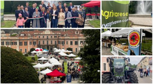 Cinque foto simbolo della domenica di Agrivarese