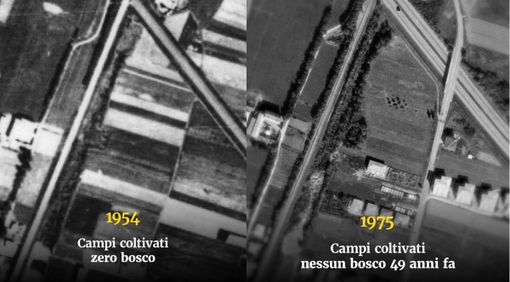 Gallarate, Cassani: «Proteste strumentali. Smascheriamo le fake news su via Curtatone» Gallarate, Cassani: «Proteste strumentali. Smascheriamo le fake news su via Curtatone»