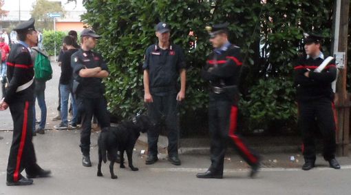 I carabinieri salvano due cani dagli spacciatori nel bosco I carabinieri salvano due cani dagli spacciatori nel bosco