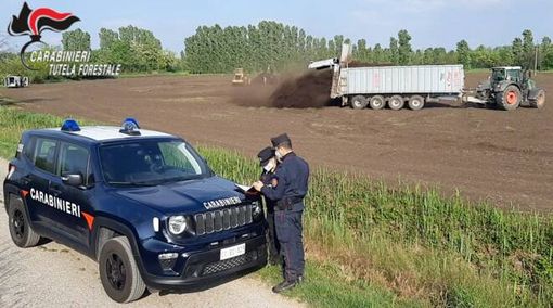 Il bilancio del 2021 dei Carabinieri Forestali della Lombardia: 1256 le persone denunciate, 11 gli arresti. Le multe comminate superano i 9 milioni di euro Il bilancio del 2021 dei Carabinieri Forestali della Lombardia: 1256 le persone denunciate, 11 gli arresti. Le multe comminate superano i 9 milioni di euro