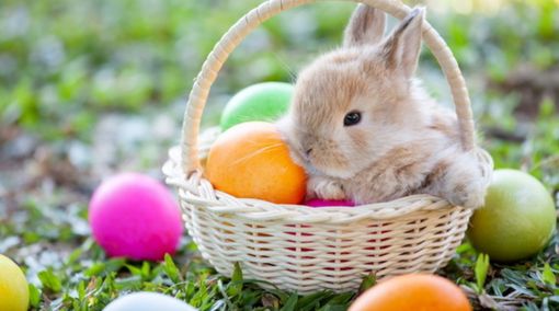 A SPASSO NEL WEEKEND. Uova, street food e caccia al tesoro. Ecco cosa fare nel fine settimana di Pasqua A SPASSO NEL WEEKEND. Uova, street food e caccia al tesoro. Ecco cosa fare nel fine settimana di Pasqua