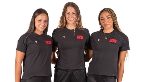 Online il nuovo Uyba store: il merchandising ufficiale delle farfalle di Busto diventa digitale