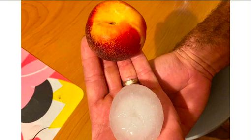 La grandine grande come una pesca da cui è stata bersagliata Seregno (foto via Naturalmeteo) La grandine grande come una pesca da cui è stata bersagliata Seregno (foto via Naturalmeteo)