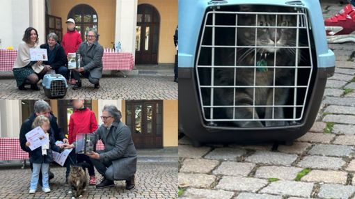 Festa del gatto a Olgiate, premiati i vincitori del concorso “Io e il mio gatto”